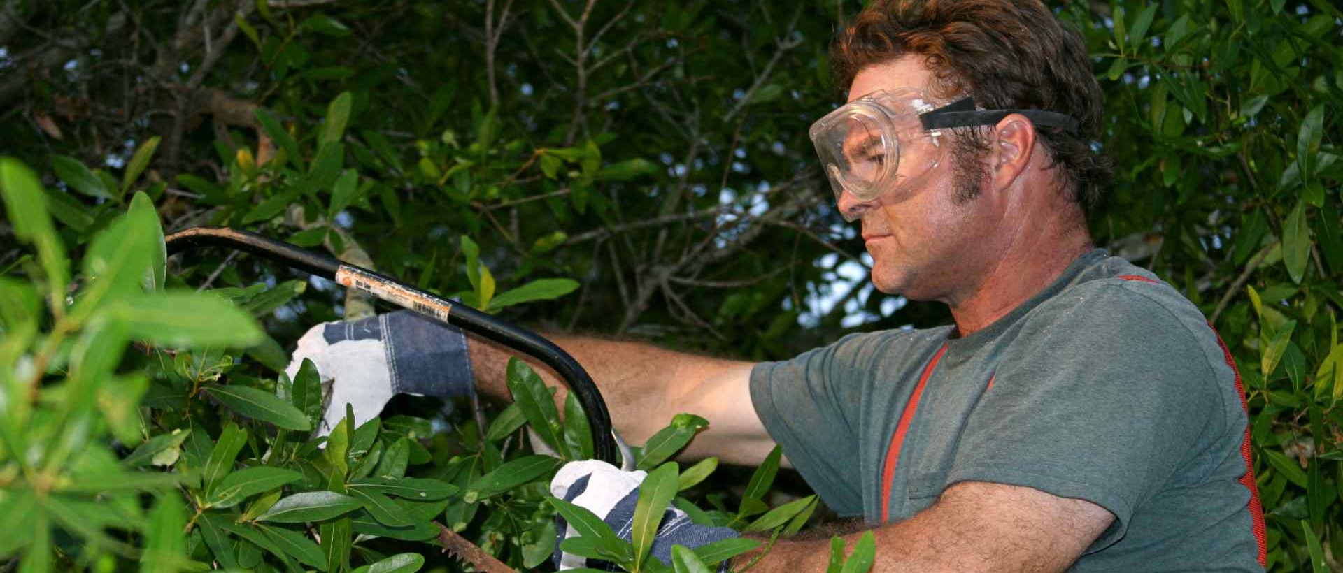 garden clearance DA10